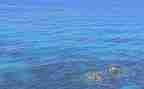 海模课程教案模板6篇
