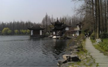 2024杭州作文精选8篇