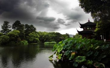 2024杭州作文参考6篇