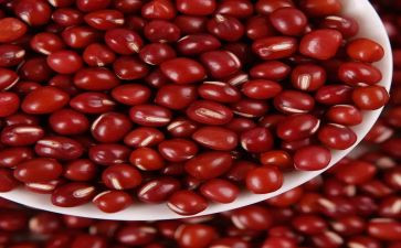 红豆饭作文优秀6篇