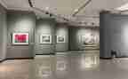 观画展心得体会5篇
