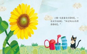 绘本《漏》教案8篇