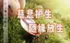 用生命守护生命演讲稿6篇