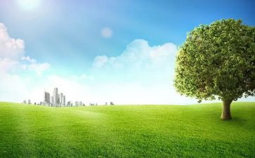 户外活动教案教案最新5篇