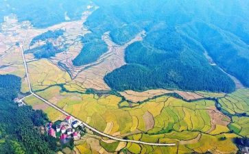 2024年江西作文8篇