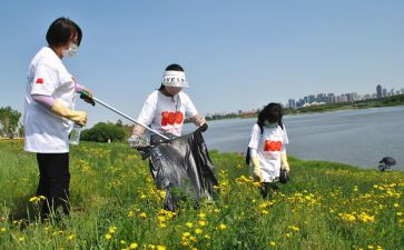 捡拾_作文精选8篇