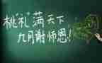 教师鉴定表个人总结8篇