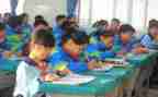 幼儿园教学教育总结推荐8篇