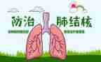 2024年结核病防治工作总结5篇