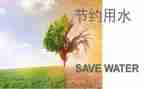 节约电心得体会最新8篇