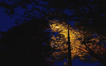 沈从文《静》读后感5篇