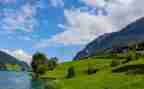 描写秋天景物作文8篇