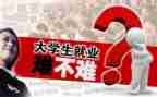 就业新心得体会最新5篇