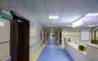 小学少科室工作总结7篇