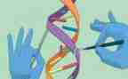 大班科学找朋友教案8篇
