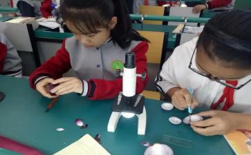 四年级科学课教学反思8篇