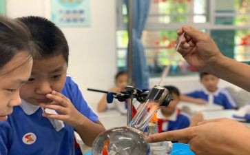 幼儿园小班科学课教案参考7篇