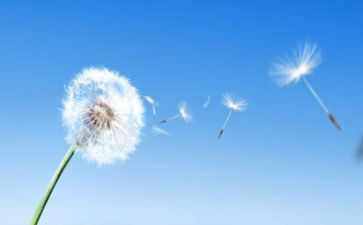 水和空气的教案优质7篇