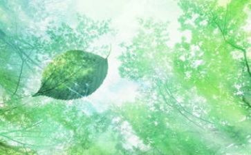 水和空气的教案7篇