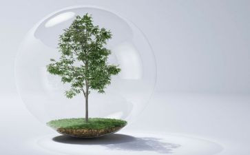 水和空气教学反思6篇