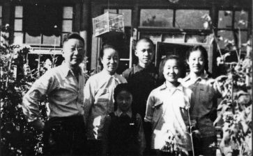 老舍兔读后感优质8篇