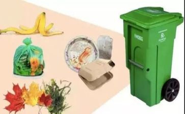 垃圾分类教案中班教案8篇