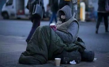 读流浪狗和流浪猫读后感通用5篇