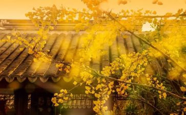 追忆流年作文6篇