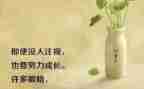 励志的作文800字5篇