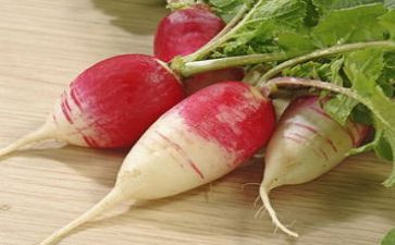 小班抢萝卜游戏教案5篇