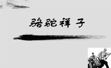 骆驼的读后感优质6篇