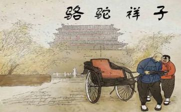 骆驼的读后感模板6篇