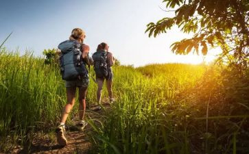 旅行帽教案优秀6篇