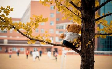 高三作文满分作文7篇