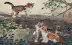 写动物猫的作文四年级作文通用5篇