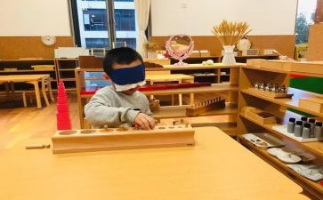 蒙氏心得体会100字8篇