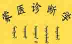 蒙医医师专业技术工作总结6篇