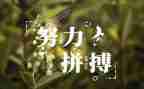 《名人传》读书心得精选8篇