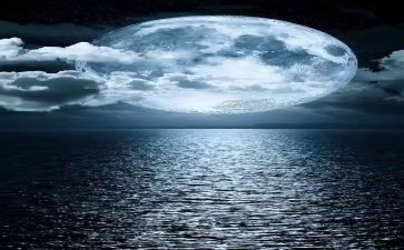 文明月演讲稿5篇