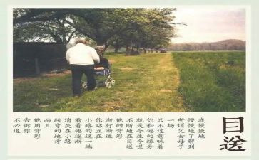 读目送的读后感通用5篇
