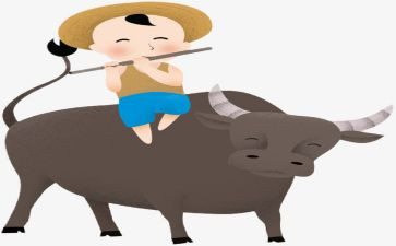 牧童教案教案7篇