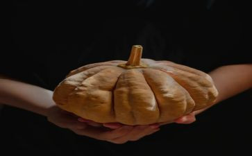 大班语言南瓜房子教案5篇