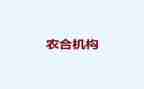 农合行述职报告推荐5篇