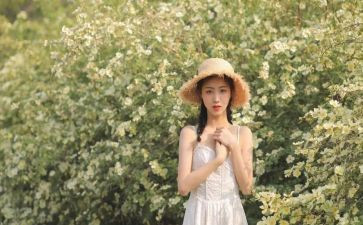 女生日记读后感6篇