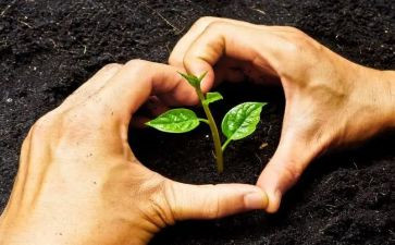 培养教师总结优秀7篇