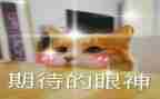 我期待着作文600字参考8篇