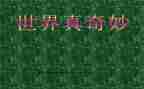 奇妙的水作文三年级作文6篇