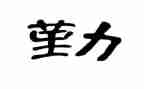 保险内勤述职工作报告6篇