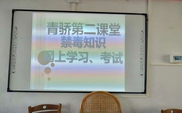 青骄第二课堂活动总结精选6篇