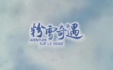 木偶奇遇心得6篇